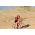 Team 89 / Raid Amazones Californie - J2 VTT