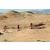 Team 77 / Raid Amazones Californie - J2 VTT