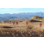 Raid Amazones Californie - J2 VTT