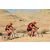 Team 06 / Raid Amazones Californie - J2 VTT