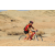 Team 49 / Raid Amazones Californie - J2 VTT