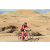 Team 49 / Raid Amazones Californie - J2 VTT