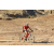 Team 19 / Raid Amazones Californie - J2 VTT