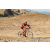 Team 19 / Raid Amazones Californie - J2 VTT