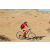 Team 35 / Raid Amazones Californie - J2 VTT