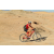 Team 35 / Raid Amazones Californie - J2 VTT