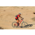 Team 50 / Raid Amazones Californie - J2 VTT