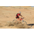 Team 50 / Raid Amazones Californie - J2 VTT