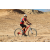 Team 54 / Raid Amazones Californie - J2 VTT