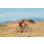 Team 22 / Raid Amazones Californie - J2 VTT
