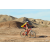Team 76 / Raid Amazones Californie - J2 VTT
