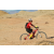 Team 75 / Raid Amazones Californie - J2 VTT