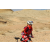 Team 96 / Raid Amazones Californie - J2 VTT
