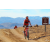 Raid Amazones Californie - J2 VTT