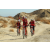 Team 24 / Raid Amazones Californie - J2 VTT