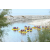 Raid Amazones Californie - J3 Canoe