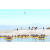 Raid Amazones Californie - J3 Canoe
