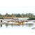 Raid Amazones Californie - J3 Canoe
