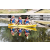 Team 16 / Raid Amazones Californie - J3 Canoe