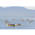 Raid Amazones Californie - J3 Canoe