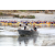 Raid Amazones Californie - J3 Canoe