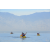 Raid Amazones Californie - J3 Canoe