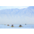 Team 61 / Raid Amazones Californie - J3 Canoe