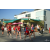 Raid Amazones Californie - J4 Los Angeles