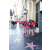 Team 42 / Raid Amazones Californie - J4 Los Angeles