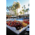 Raid Amazones Californie - J4 Los Angeles