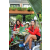 Team 44 / Raid Amazones Californie - J4 Los Angeles