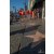 Team 52 / Raid Amazones Californie - J4 Los Angeles