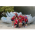 Team 91 / Raid Amazones Californie - J4 Los Angeles