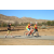 Team 76 / Raid Amazones Californie - J5 Triathlon