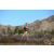Team 81 / Raid Amazones Californie - J5 Triathlon