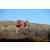 Team 35 / Raid Amazones Californie - J5 Triathlon