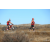 Team 52 / Raid Amazones Californie - J5 Triathlon