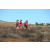 Team 84 / Raid Amazones Californie - J5 Triathlon