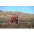 Team 12 / Raid Amazones Californie - J5 Triathlon