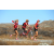 Team 06 / Raid Amazones Californie - J5 Triathlon