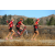 Team 06 / Raid Amazones Californie - J5 Triathlon