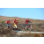 Team 29 / Raid Amazones Californie - J5 Triathlon