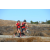 Team 66 / Raid Amazones Californie - J5 Triathlon
