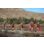 Team 92 / Raid Amazones Californie - J5 Triathlon