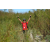 Team 14 / Raid Amazones Californie - J5 Triathlon