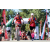 Team 48 / Raid Amazones Californie - J5 Triathlon