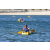 Team 43 / Raid Amazones Californie - J5 Triathlon