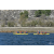 Team 50 / Raid Amazones Californie - J5 Triathlon