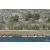 Team 58 / Raid Amazones Californie - J5 Triathlon