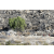 Raid Amazones Californie - J5 Triathlon
